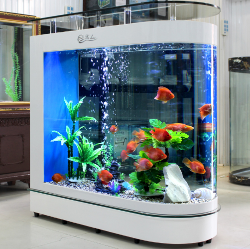 卧室放鱼缸的风水说法