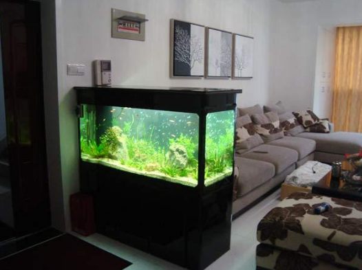 客厅放鱼缸风水好吗