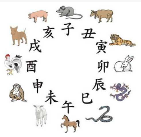十二生肖属相排名，十二生肖的顺序