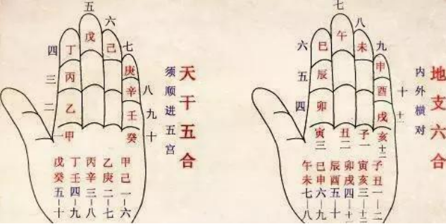 八字十二地支五行属性