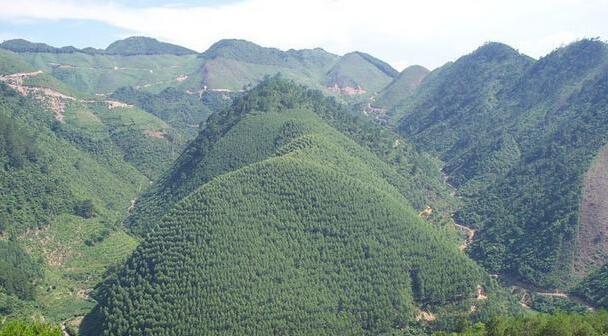 祖坟旺老大老三穷老二