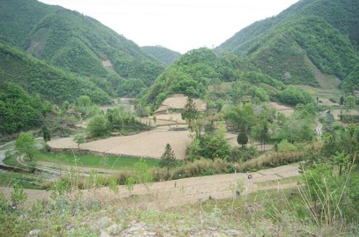 生态墓地，墓地朝向