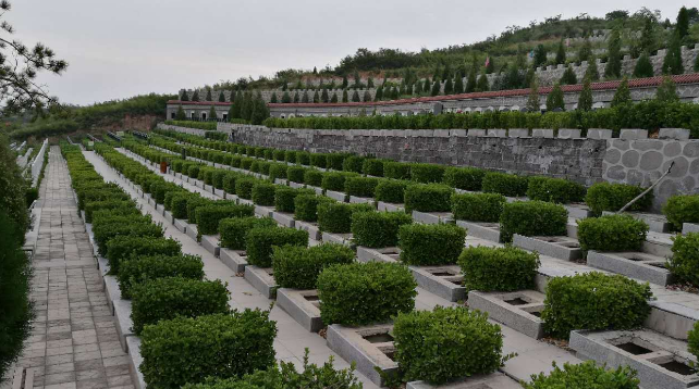 墓地适合种植的树和花