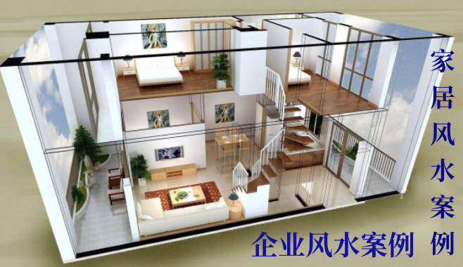 蝴蝶标本放家里对风水好不好