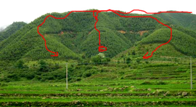 选墓地什么位置好 苑家文化