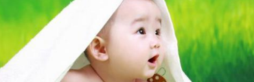贾姓龙年宝宝起名