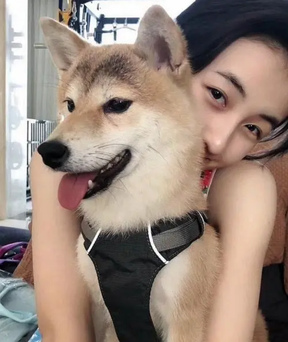 寓意幸运的宠物名字