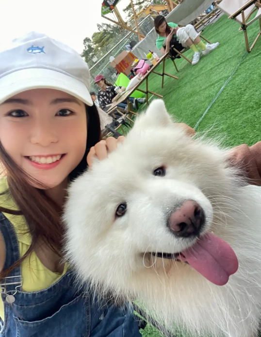 洋气不俗气的狗名