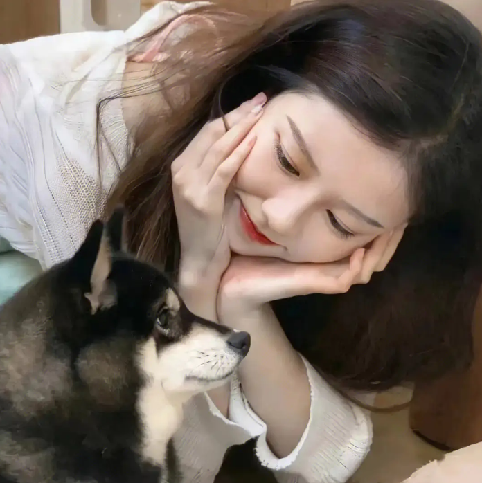 72种名犬图片及名字 苑家文化