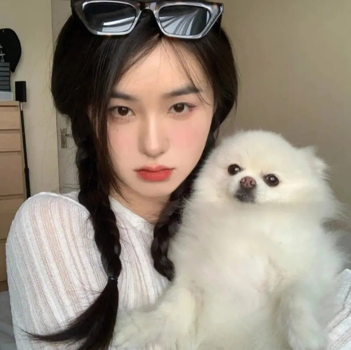 狗狗名字大全 洋气点的