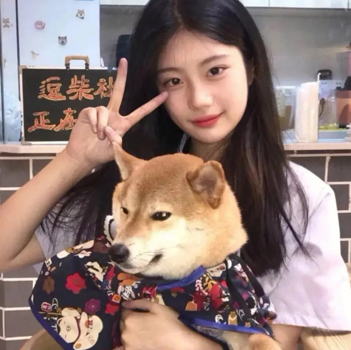 狗狗叫什么名字最旺