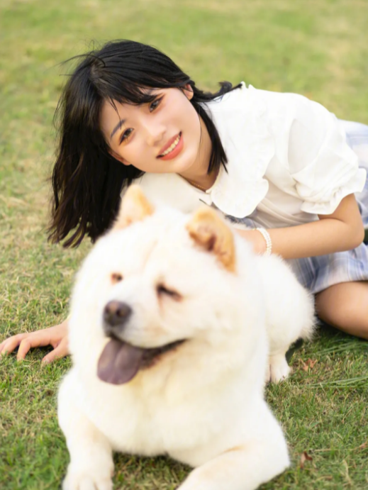 公狗怎么取名字好听