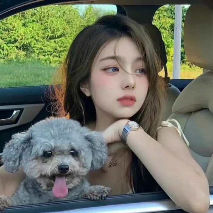 宠物名字 风水研究院