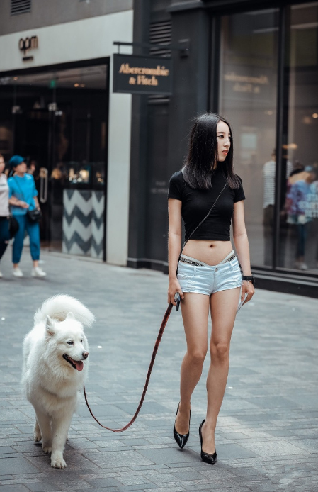 白色的小狗叫什么名字好听