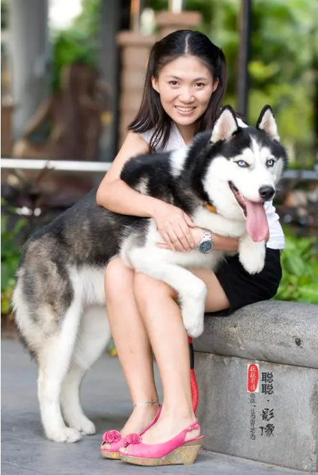 白色的狗狗取什么名字