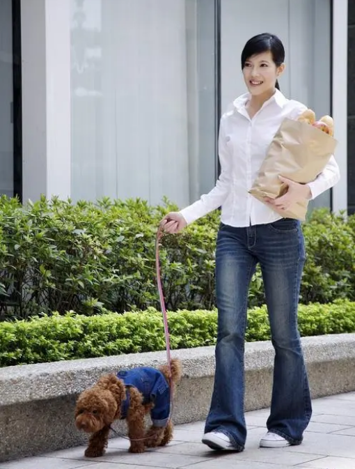 100个好听到爆的狗狗名字 苑家文化