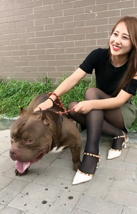 100个好听到爆的狗狗名字 风水研究院