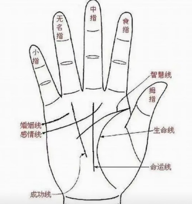 女生手相 女生手相