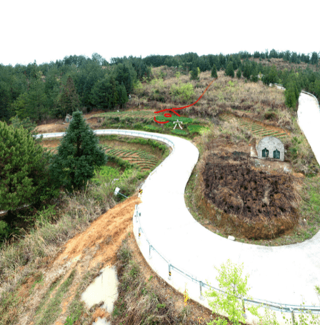 坟地风水怎么看旺后人是大学生
