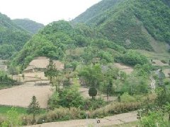 祖坟风水怎么看才是好地方