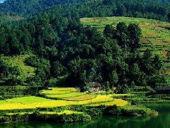 坟墓风水好坏怎么看