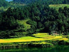 选墓地如何看风水