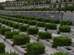 夸赞风水好的墓地