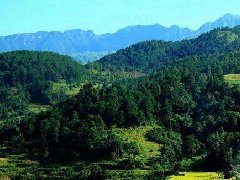 风水墓地一千例图解