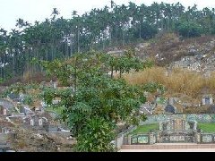 如何看坟地风水