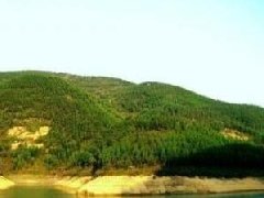 好的墓地风水图