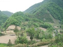 怎样选风水好的墓地