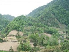 怎样看祖坟风水宝地