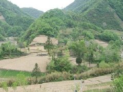 怎么买墓地,如何看墓地风水图解法