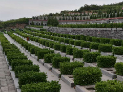 风水坐向,什么样的坟地风水好