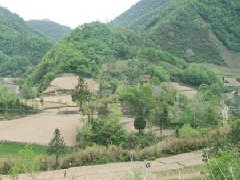 坟墓的风水,怎样选择风水墓地