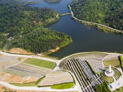 墓地如何选龙脉