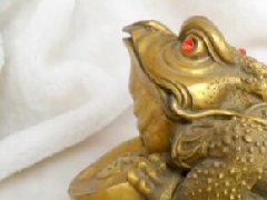 家里金蟾怎么摆放招财